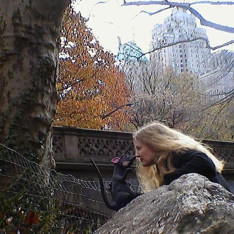 central park ii small